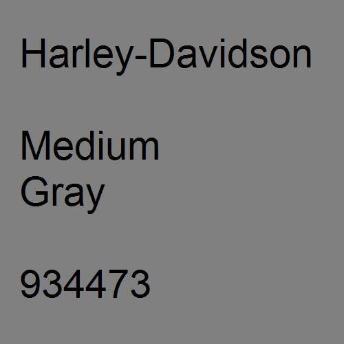 Harley-Davidson, Medium Gray, 934473.